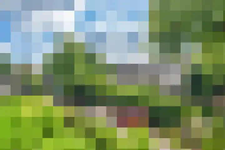 Lantentijmen 4 Laren thumbnail 41