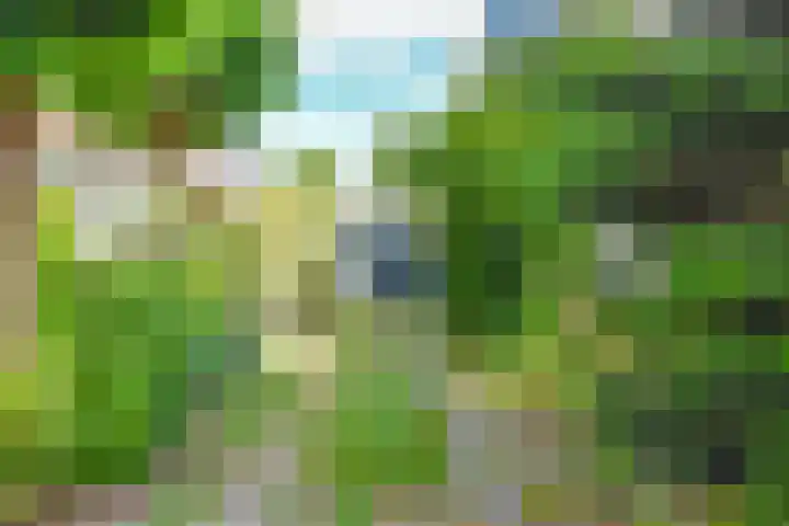 Lantentijmen 4 Laren thumbnail 6