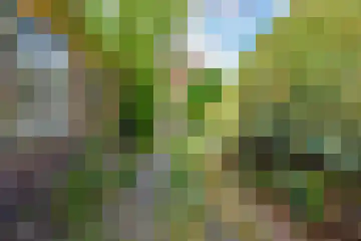 Lantentijmen 4 Laren thumbnail 7