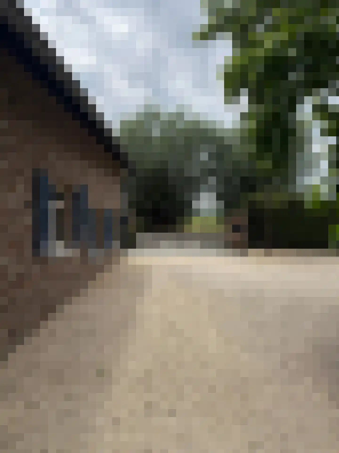 Lanterdijk 49 Roosteren thumbnail 101