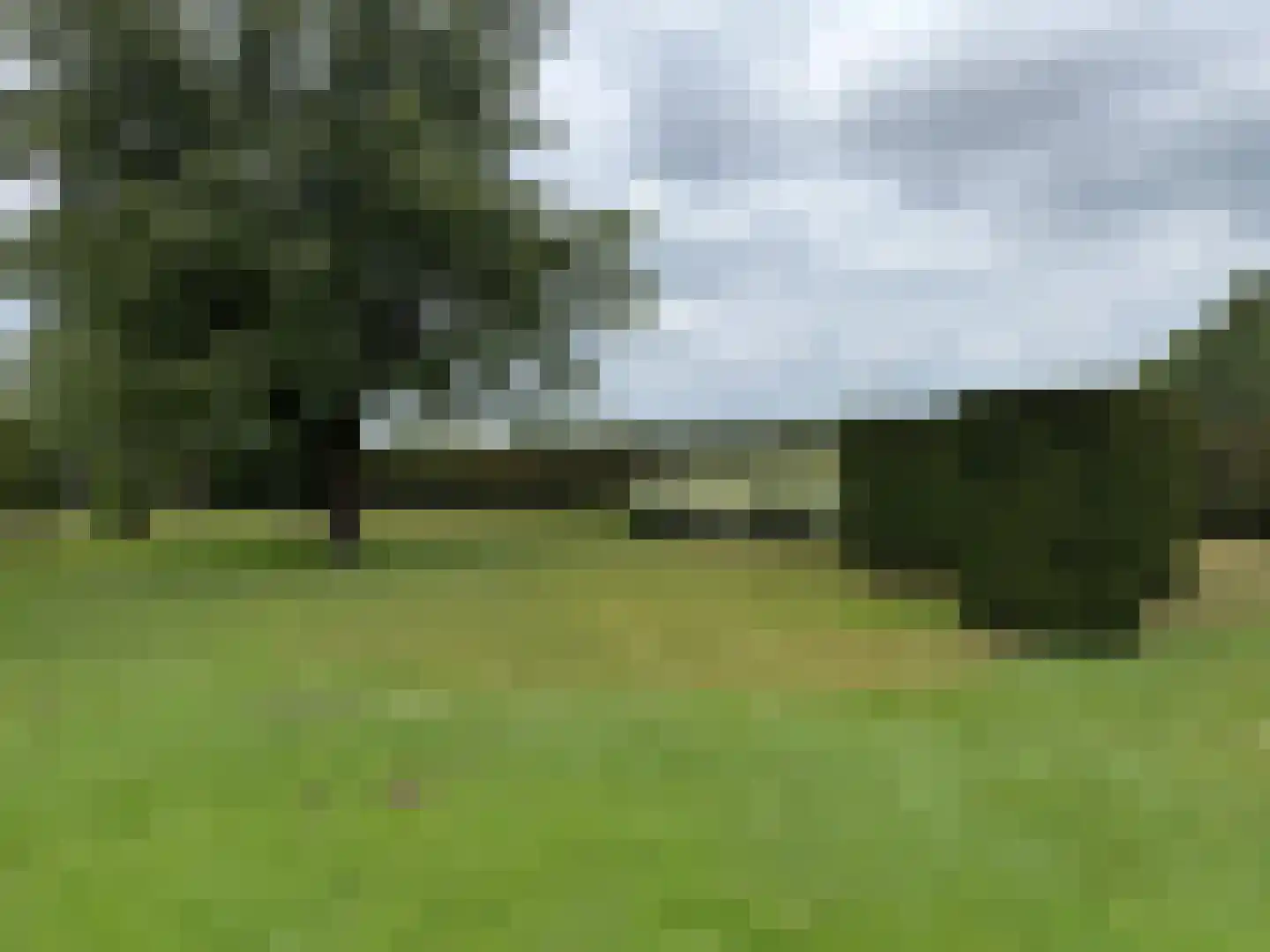 Lanterdijk 49 Roosteren thumbnail 107