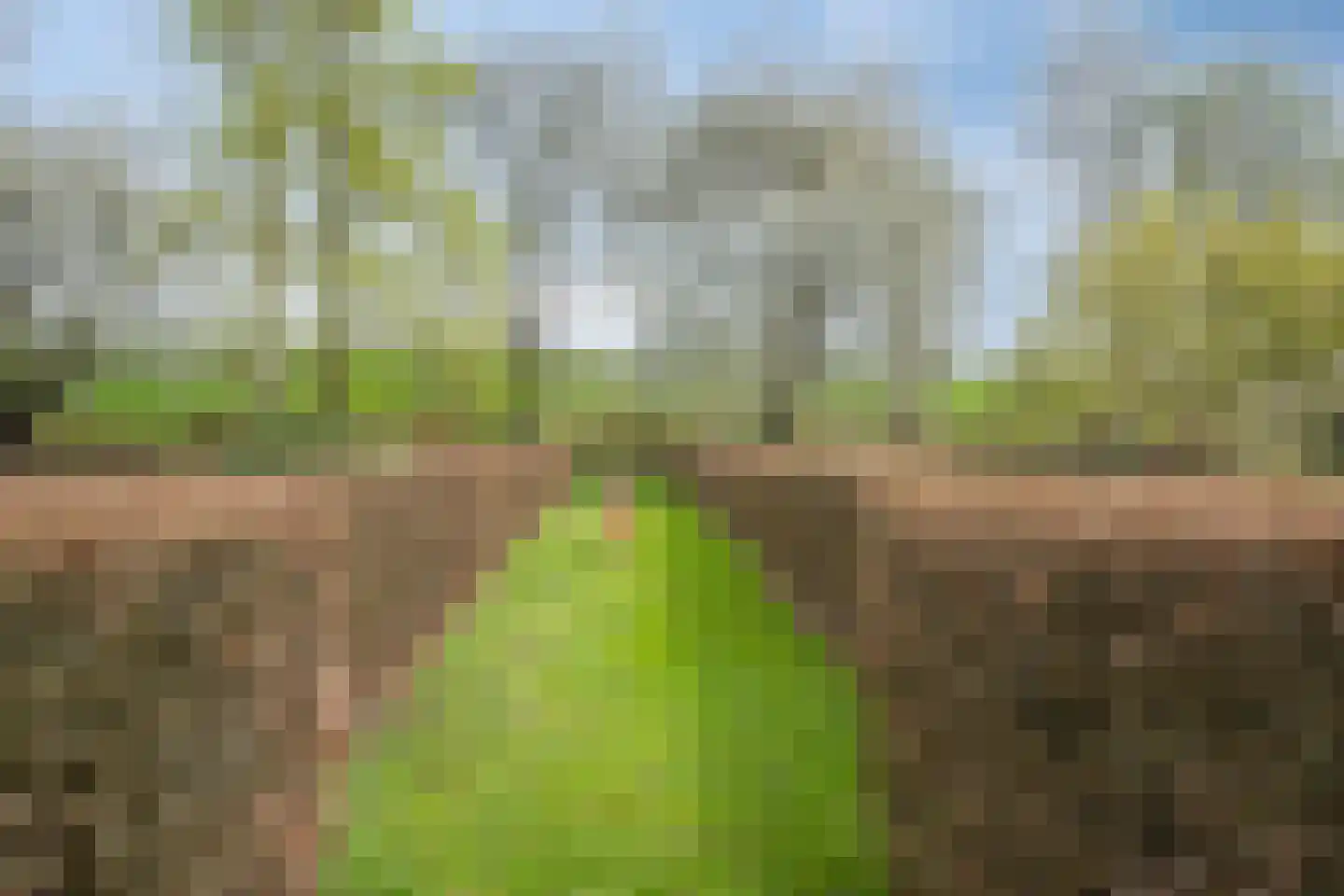 Lanterdijk 49 Roosteren thumbnail 68