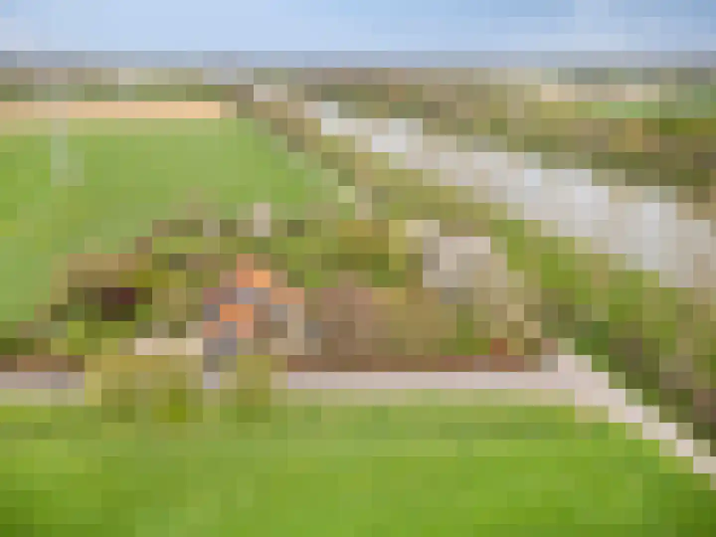 Lanterdijk 49 Roosteren thumbnail 72