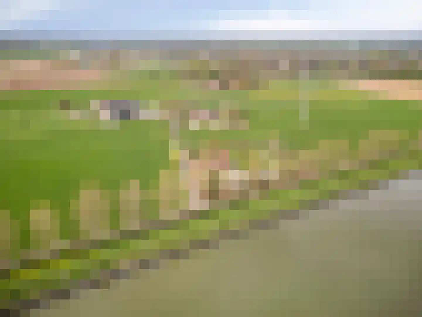 Lanterdijk 49 Roosteren thumbnail 75