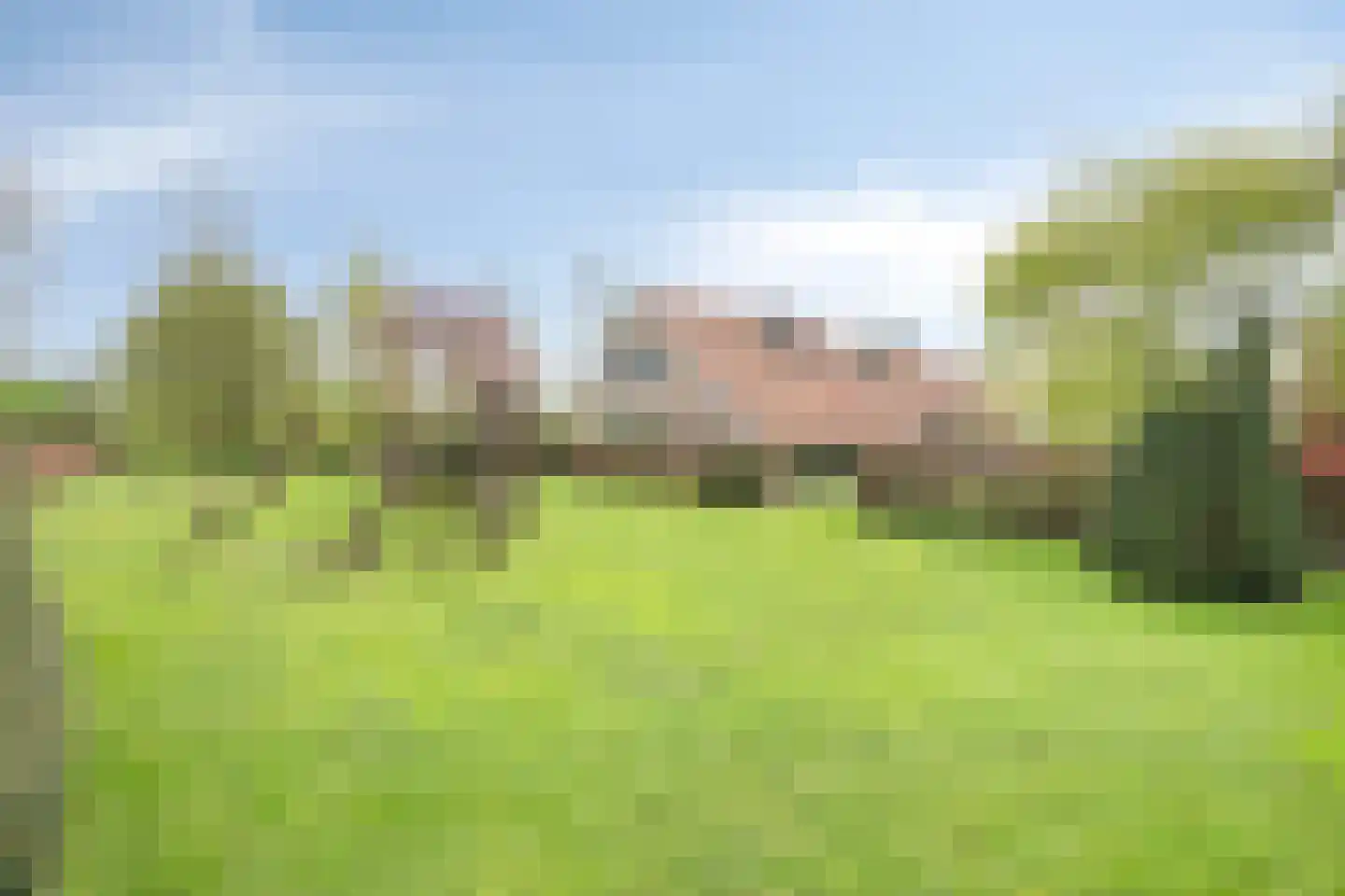 Lanterdijk 49 Roosteren thumbnail 78