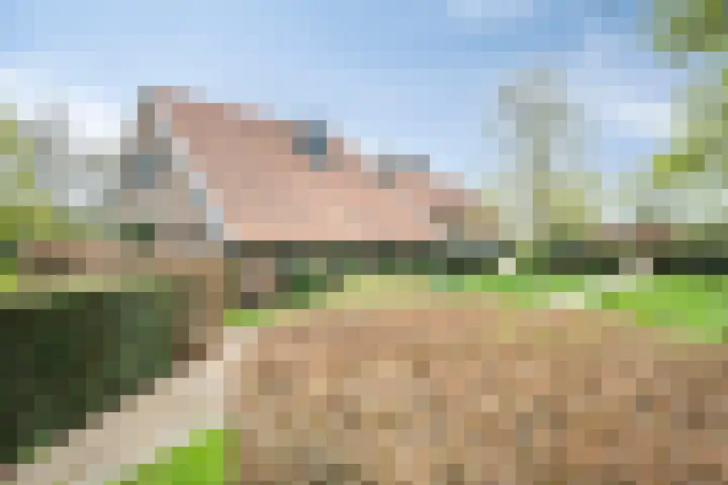 Lanterdijk 49 Roosteren thumbnail 79