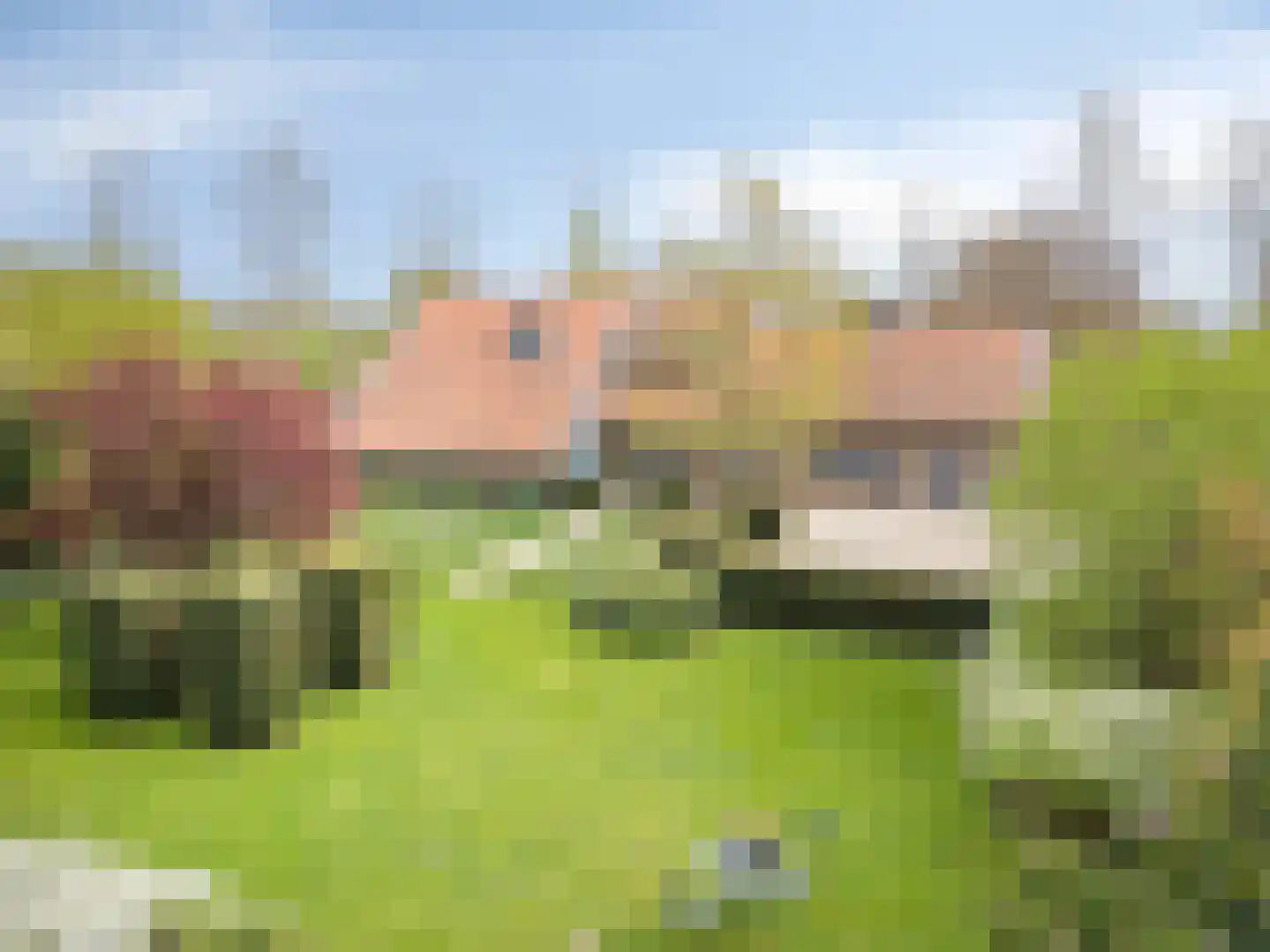 Lanterdijk 49 Roosteren thumbnail 81