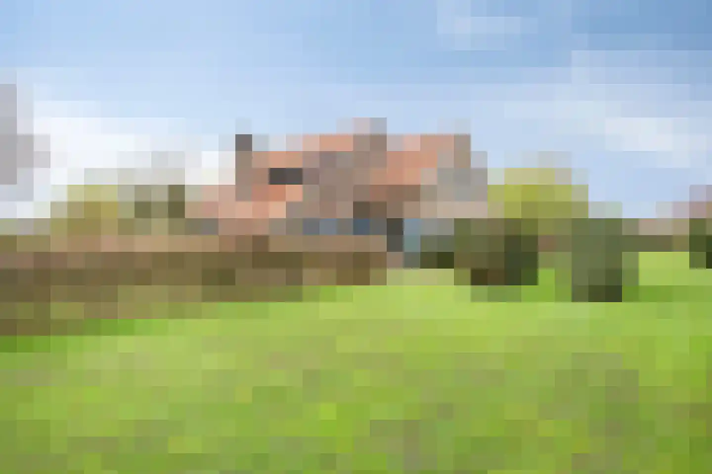 Lanterdijk 49 Roosteren thumbnail 9