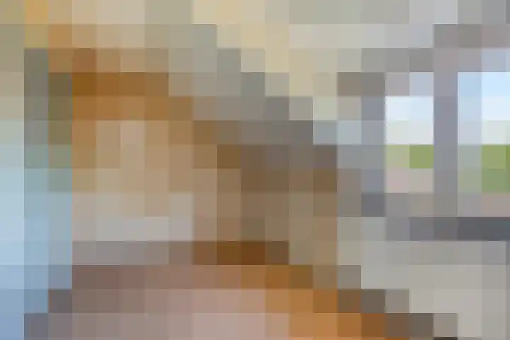 Lanterdweg 4 Kessel thumbnail 20