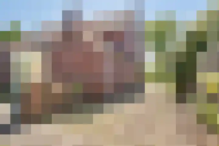 Lanterdweg 4 Kessel thumbnail 28