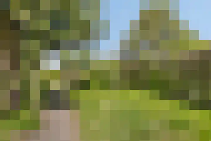 Lanterdweg 4 Kessel thumbnail 29