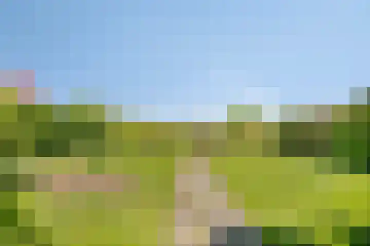 Lanterdweg 4 Kessel thumbnail 30