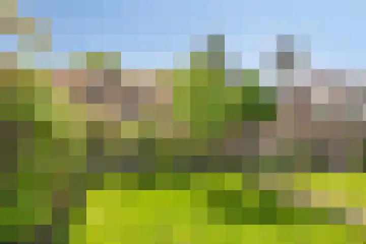Lanterdweg 4 Kessel thumbnail 32