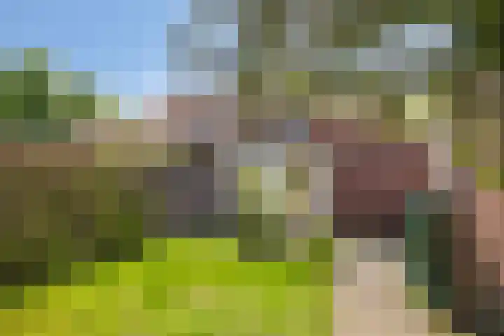 Lanterdweg 4 Kessel thumbnail 33