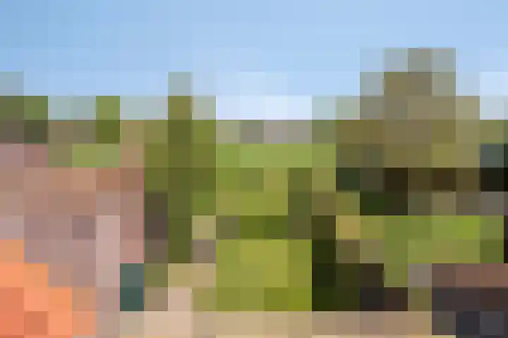 Lanterdweg 4 Kessel thumbnail 37