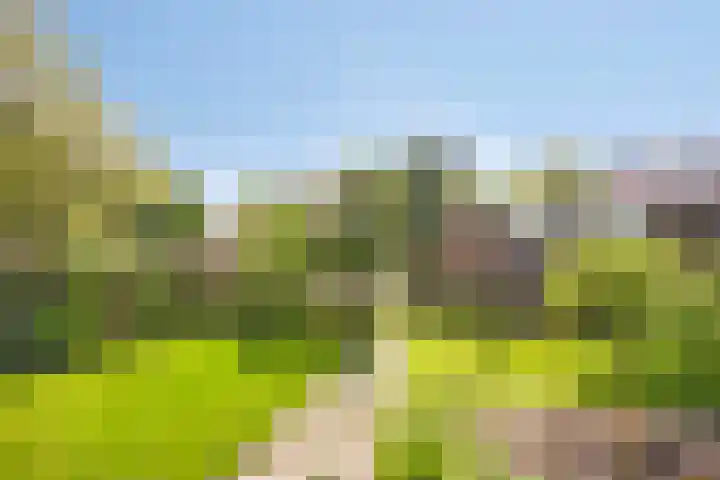 Lanterdweg 4 Kessel thumbnail 4