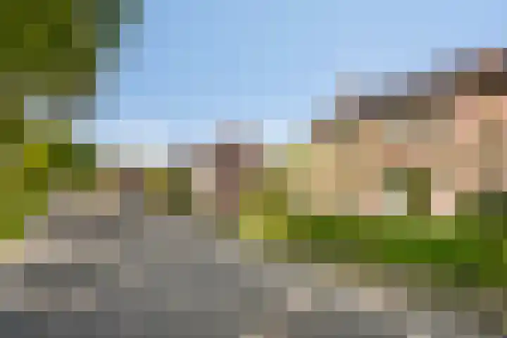 Lanterdweg 4 Kessel thumbnail 42