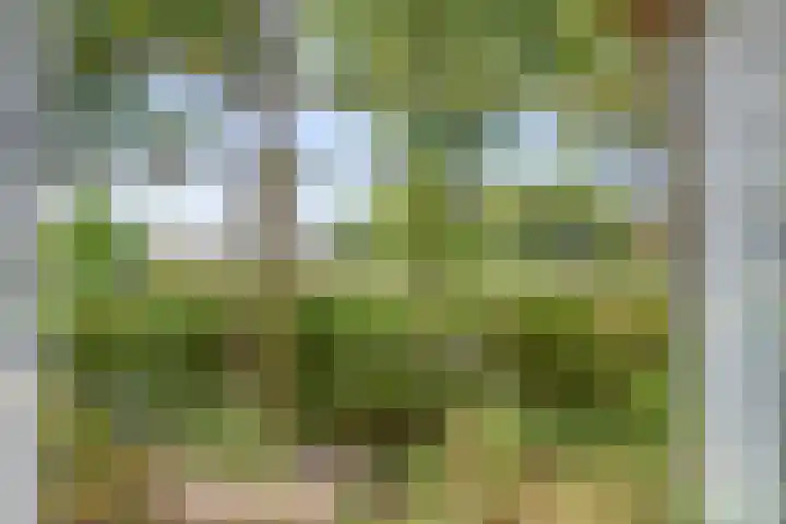 Lanterdweg 4 Kessel thumbnail 8