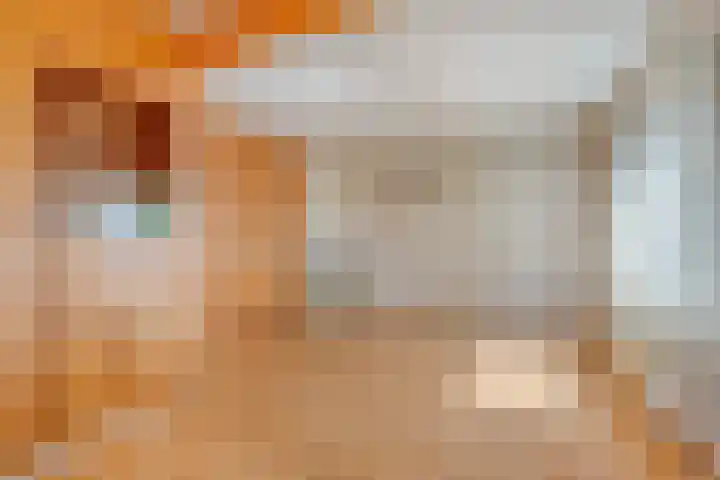 Lanterdweg 4 Kessel thumbnail 9
