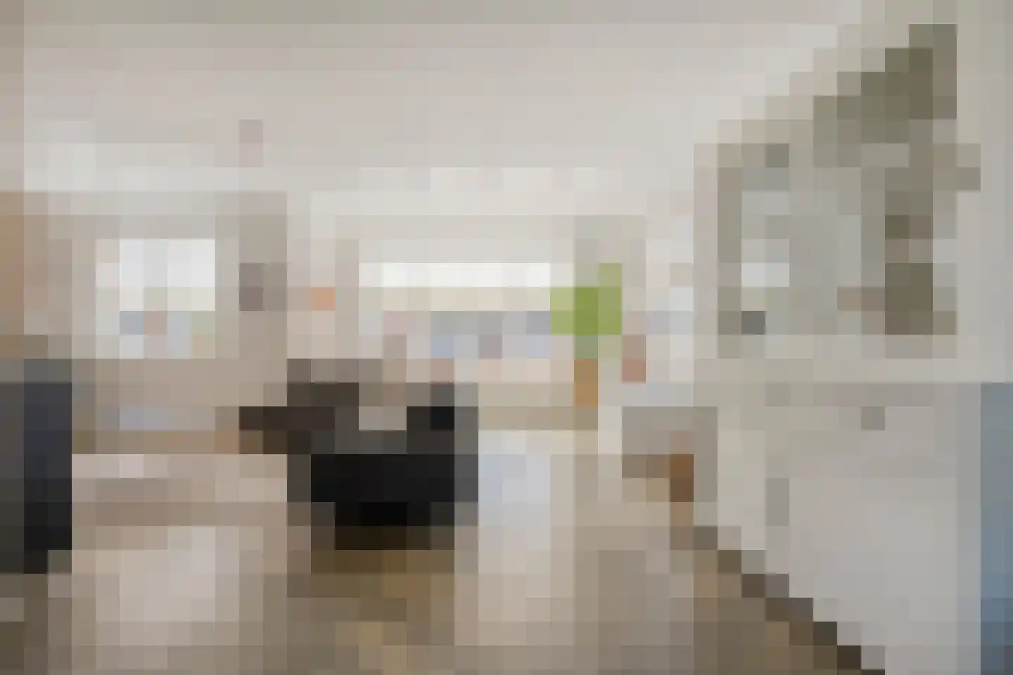 Lantheer 44 Ommen thumbnail 14