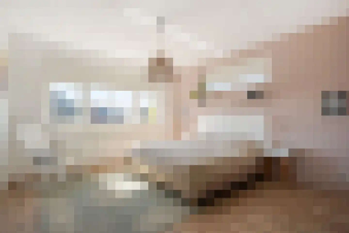 Lantheer 44 Ommen thumbnail 31