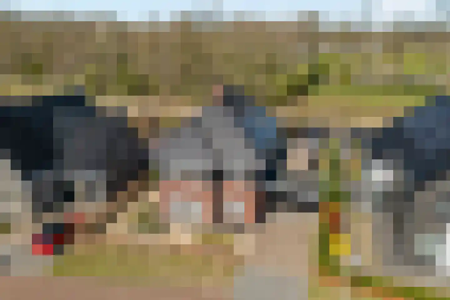 Lantheer 44 Ommen thumbnail 4