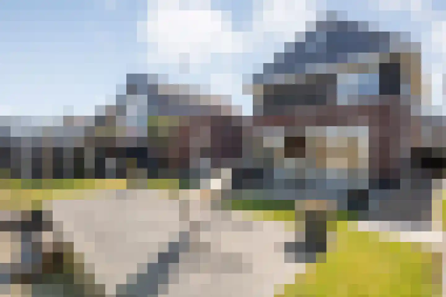 Lantheer 44 Ommen thumbnail 49