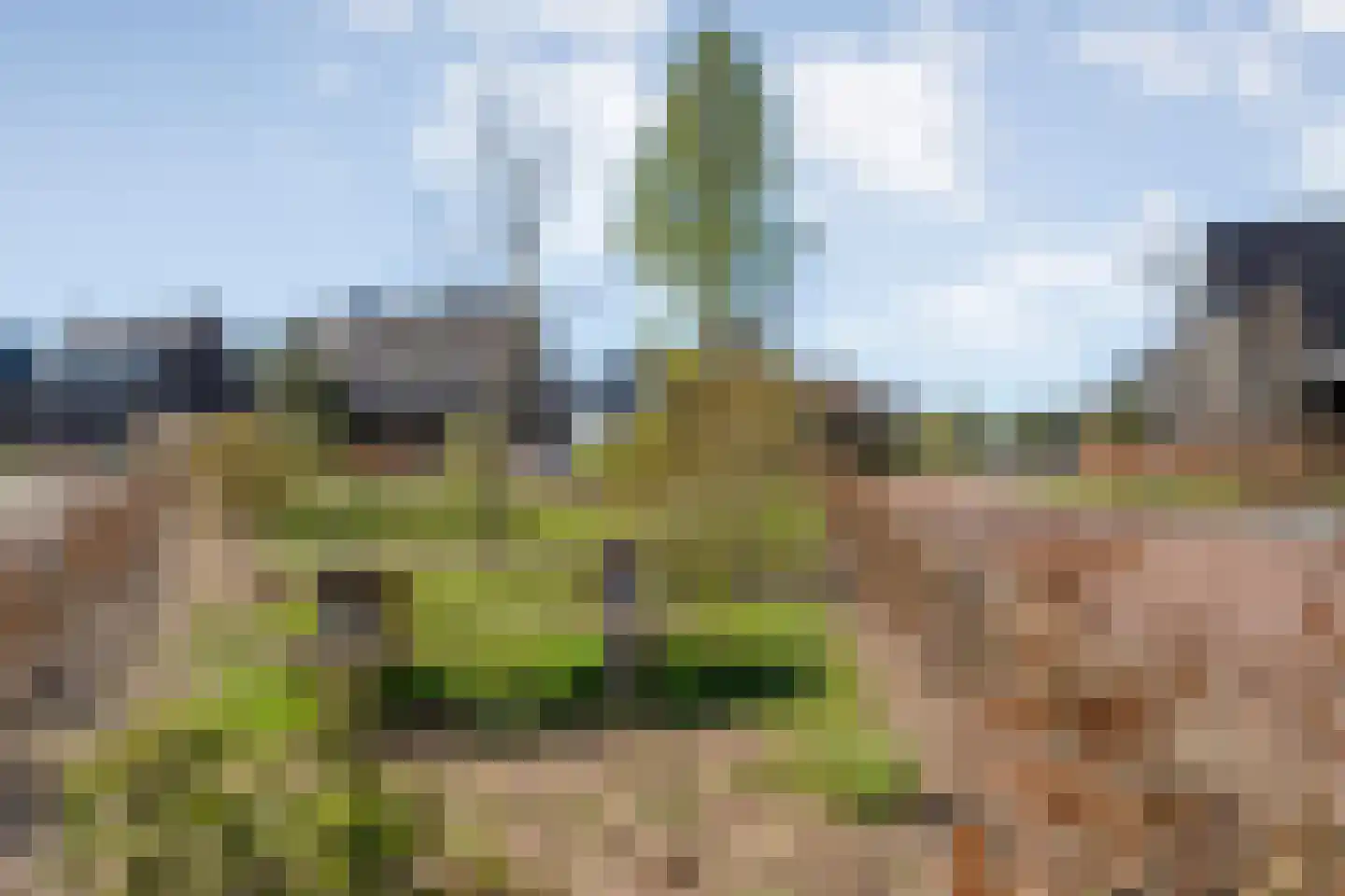 Lantheer 44 Ommen thumbnail 62