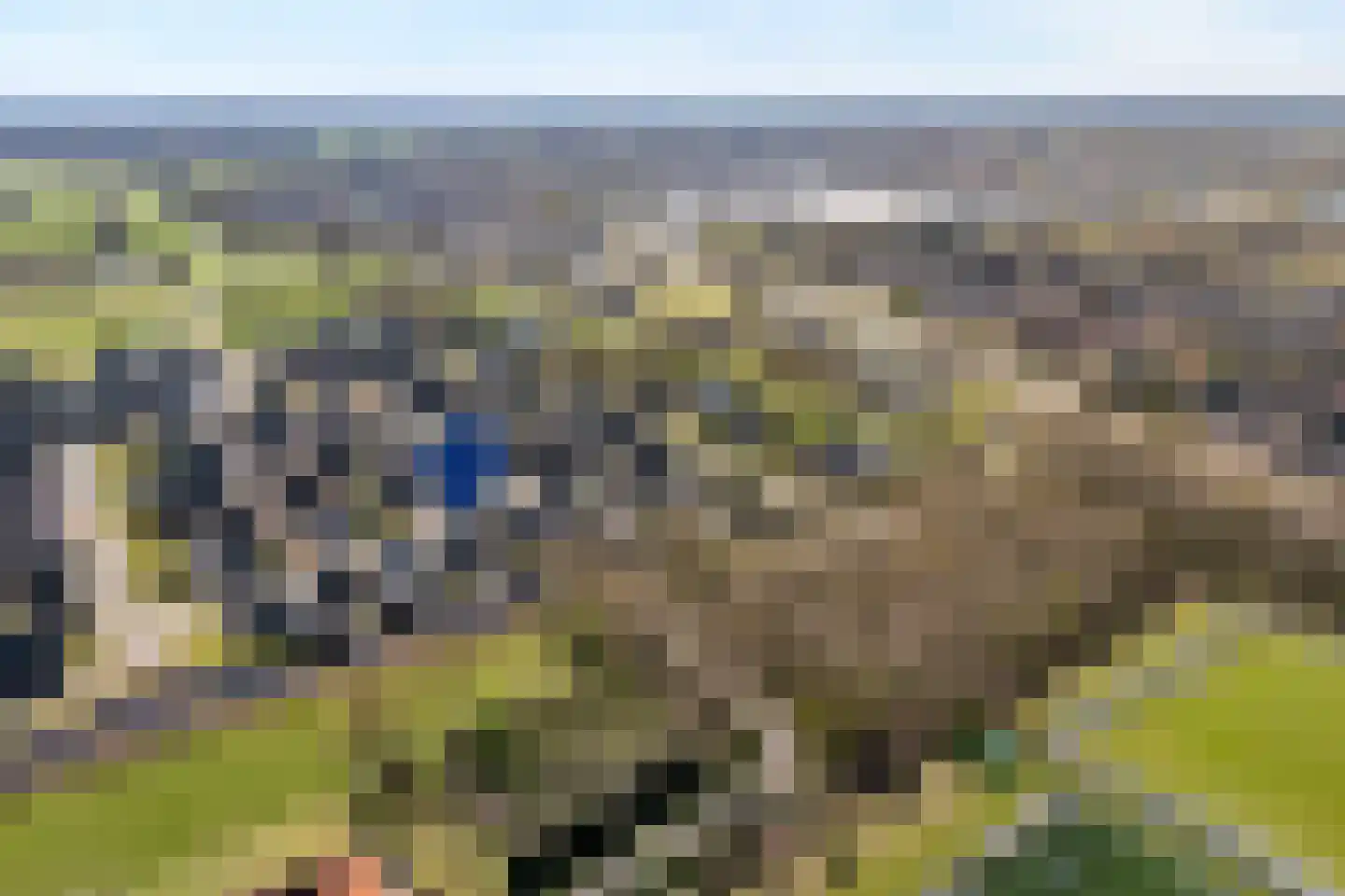 Lantheer 44 Ommen thumbnail 65