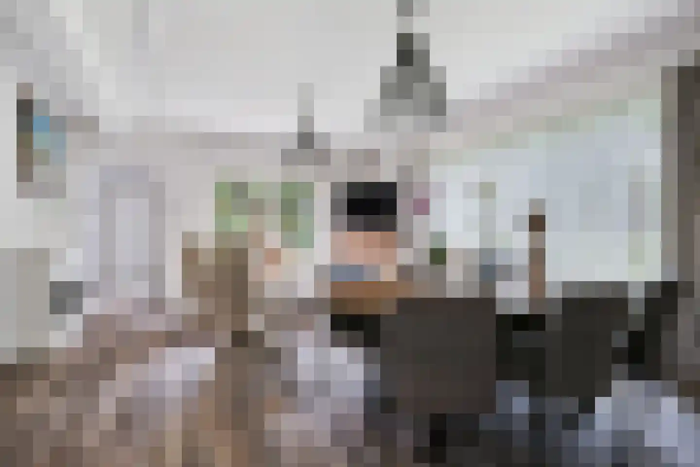 Lantie 4 Vessem thumbnail 10