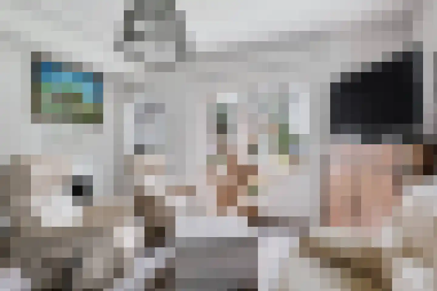 Lantie 4 Vessem thumbnail 17