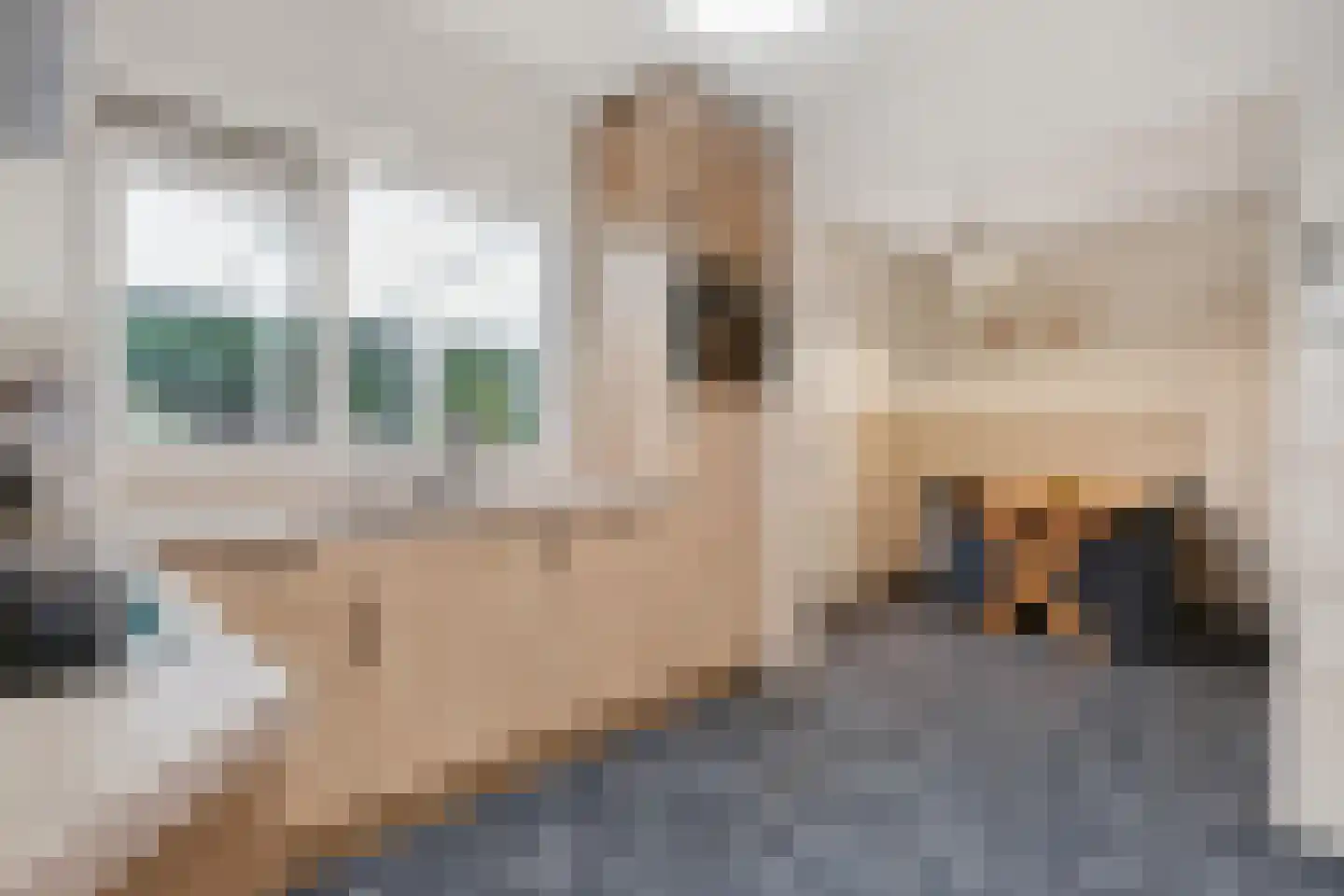 Lantie 4 Vessem thumbnail 29