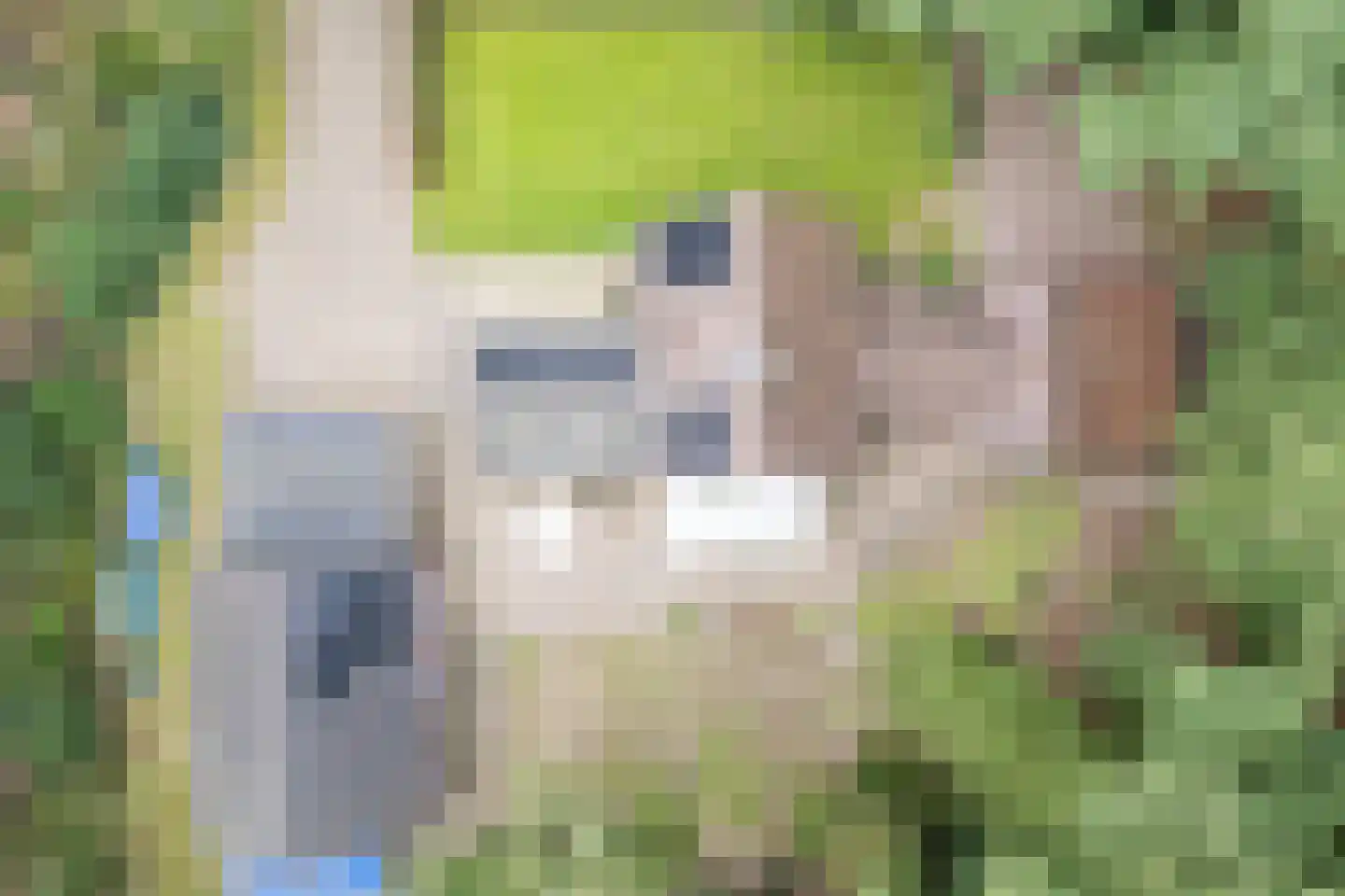 Lantie 4 Vessem thumbnail 48