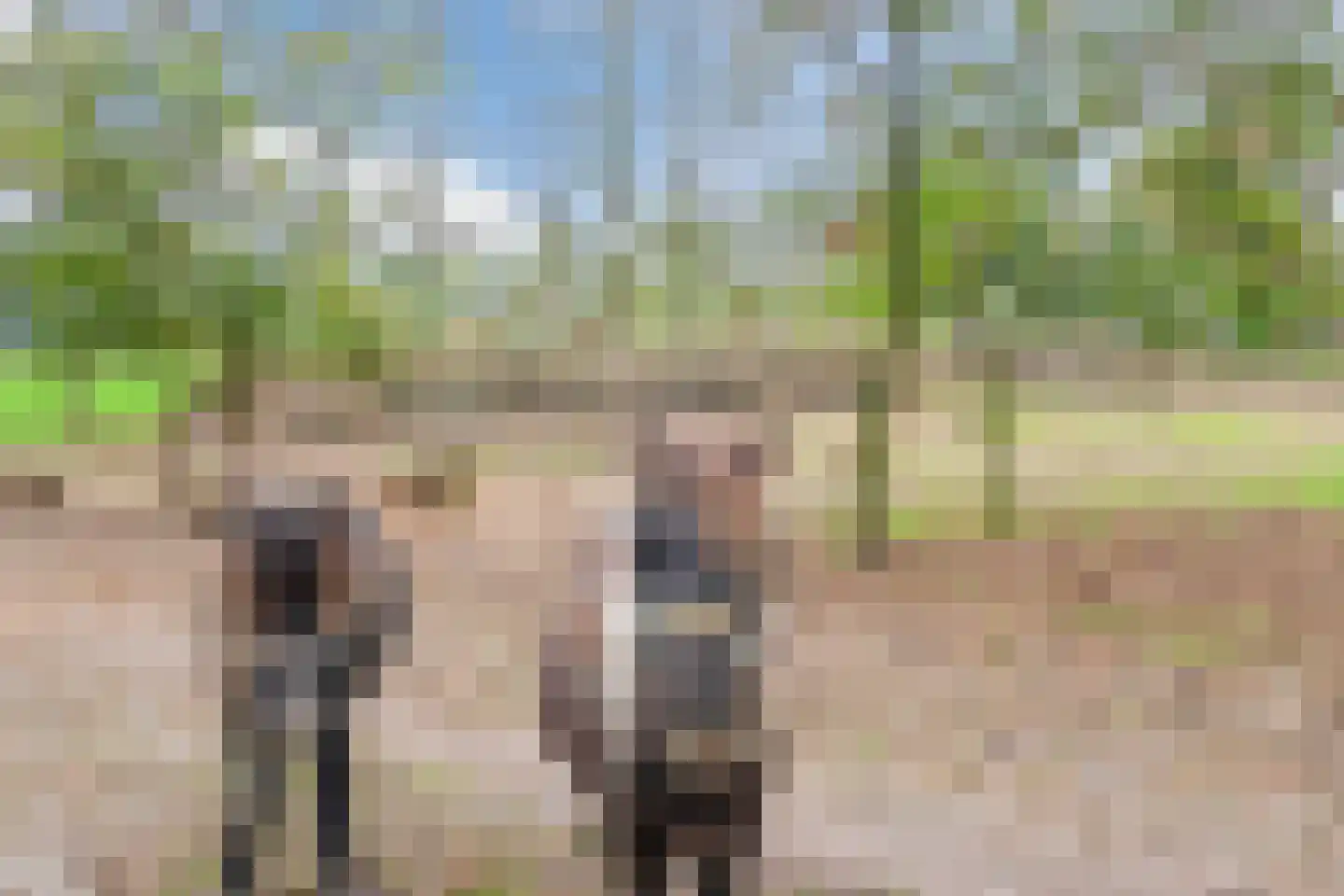 Lantie 4 Vessem thumbnail 5