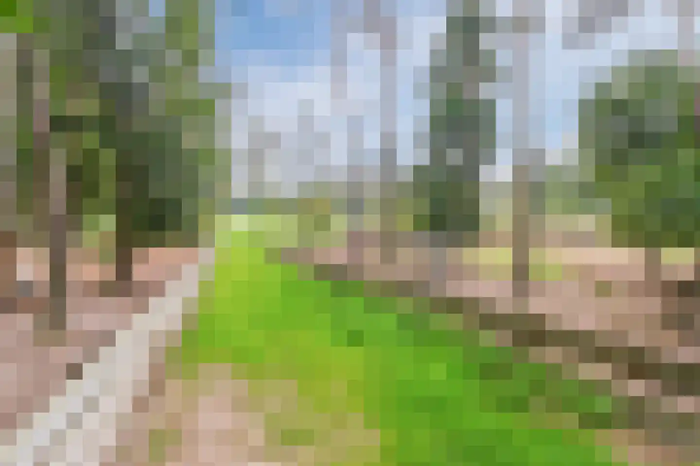 Lantie 4 Vessem thumbnail 52