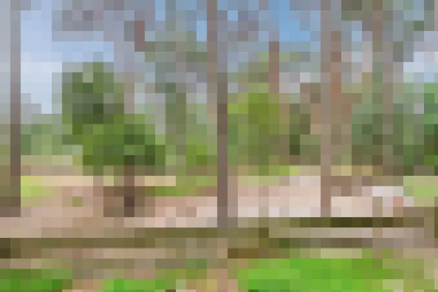 Lantie 4 Vessem thumbnail 53