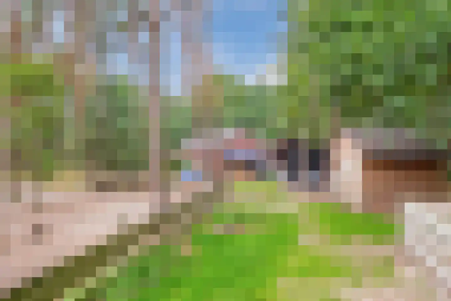 Lantie 4 Vessem thumbnail 54