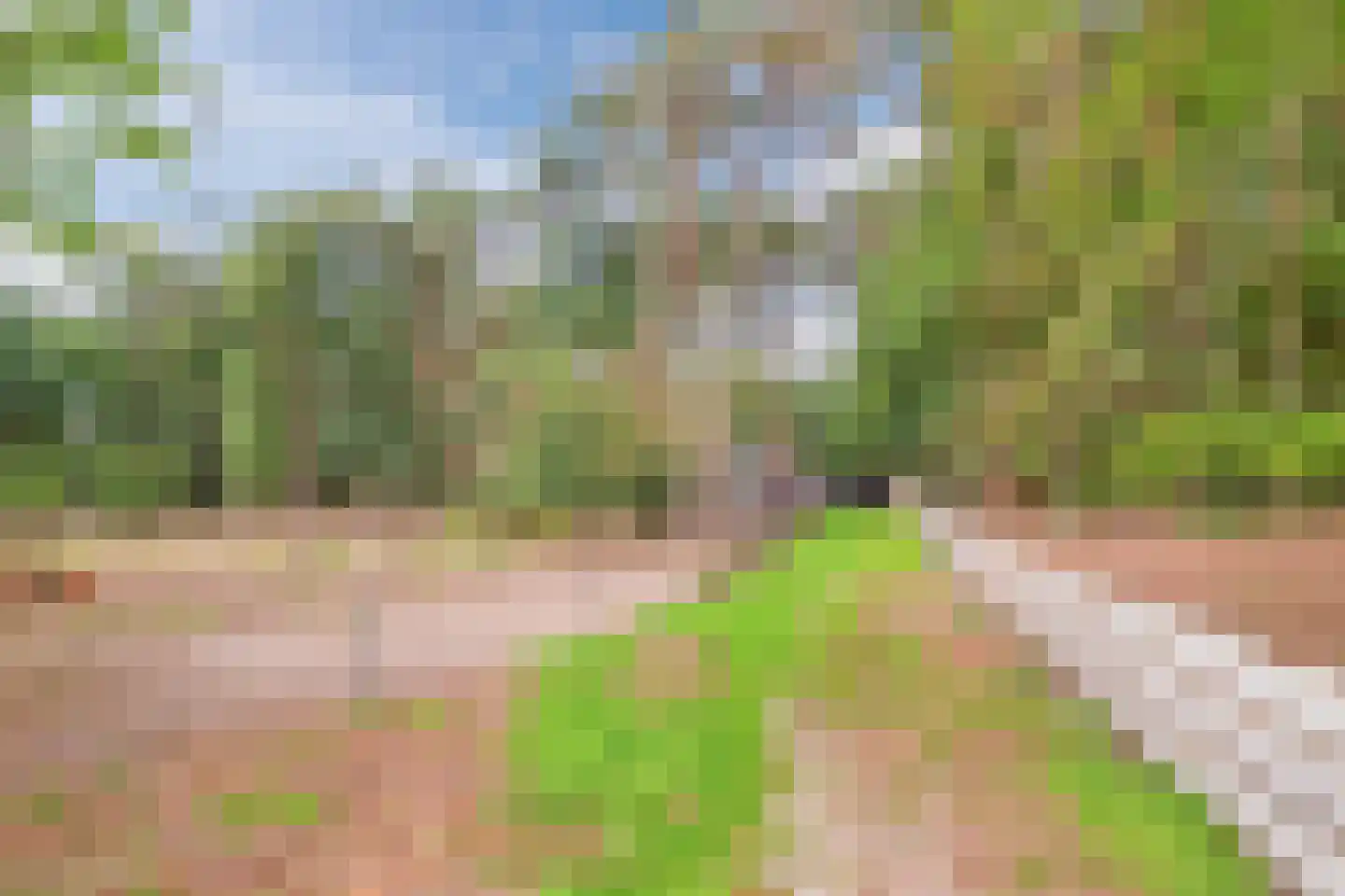 Lantie 4 Vessem thumbnail 56