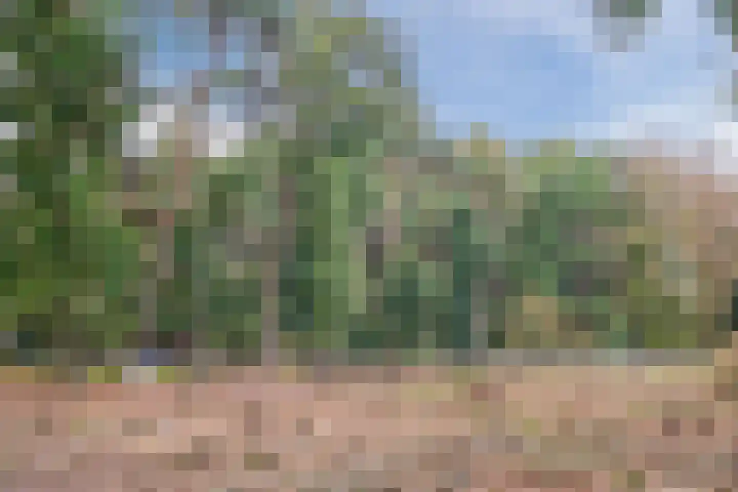 Lantie 4 Vessem thumbnail 57
