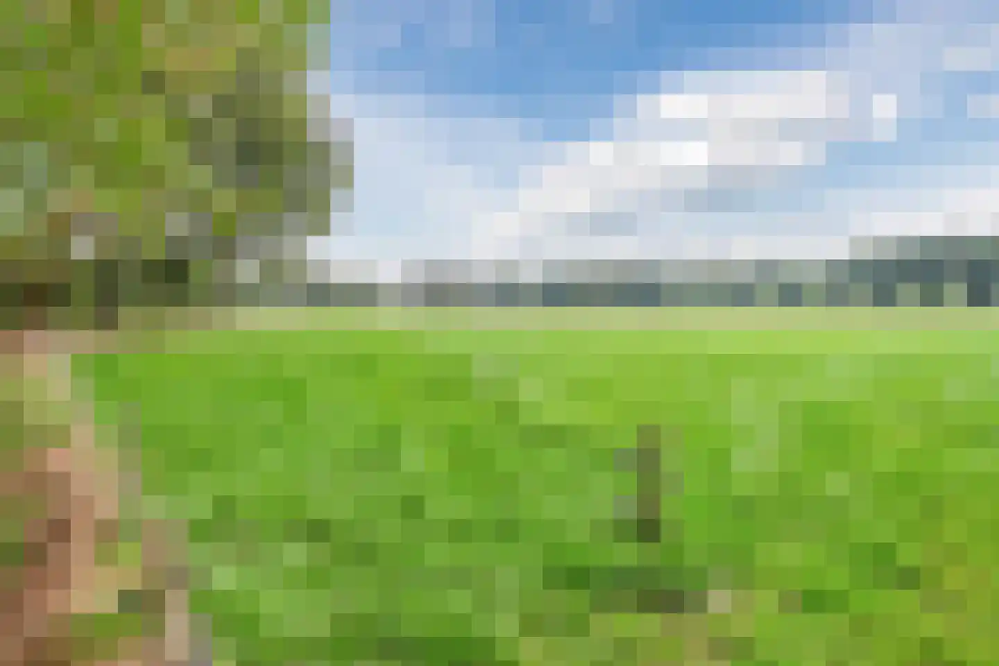 Lantie 4 Vessem thumbnail 59