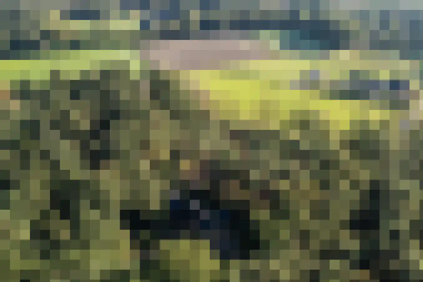 Lantie 4 Vessem thumbnail 6