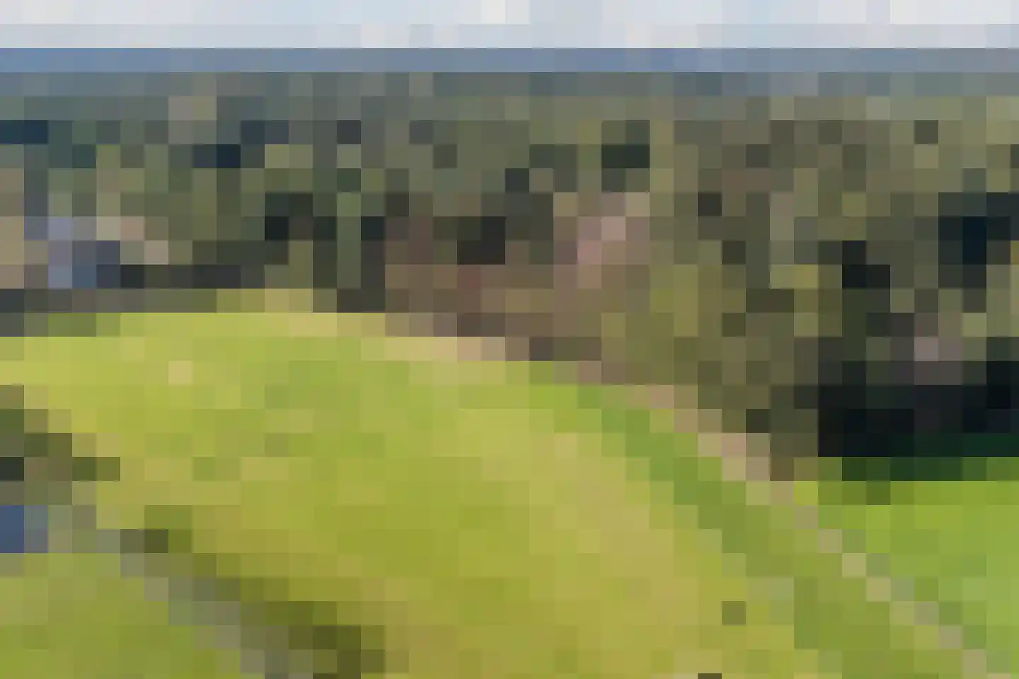 Lantie 4 Vessem thumbnail 60