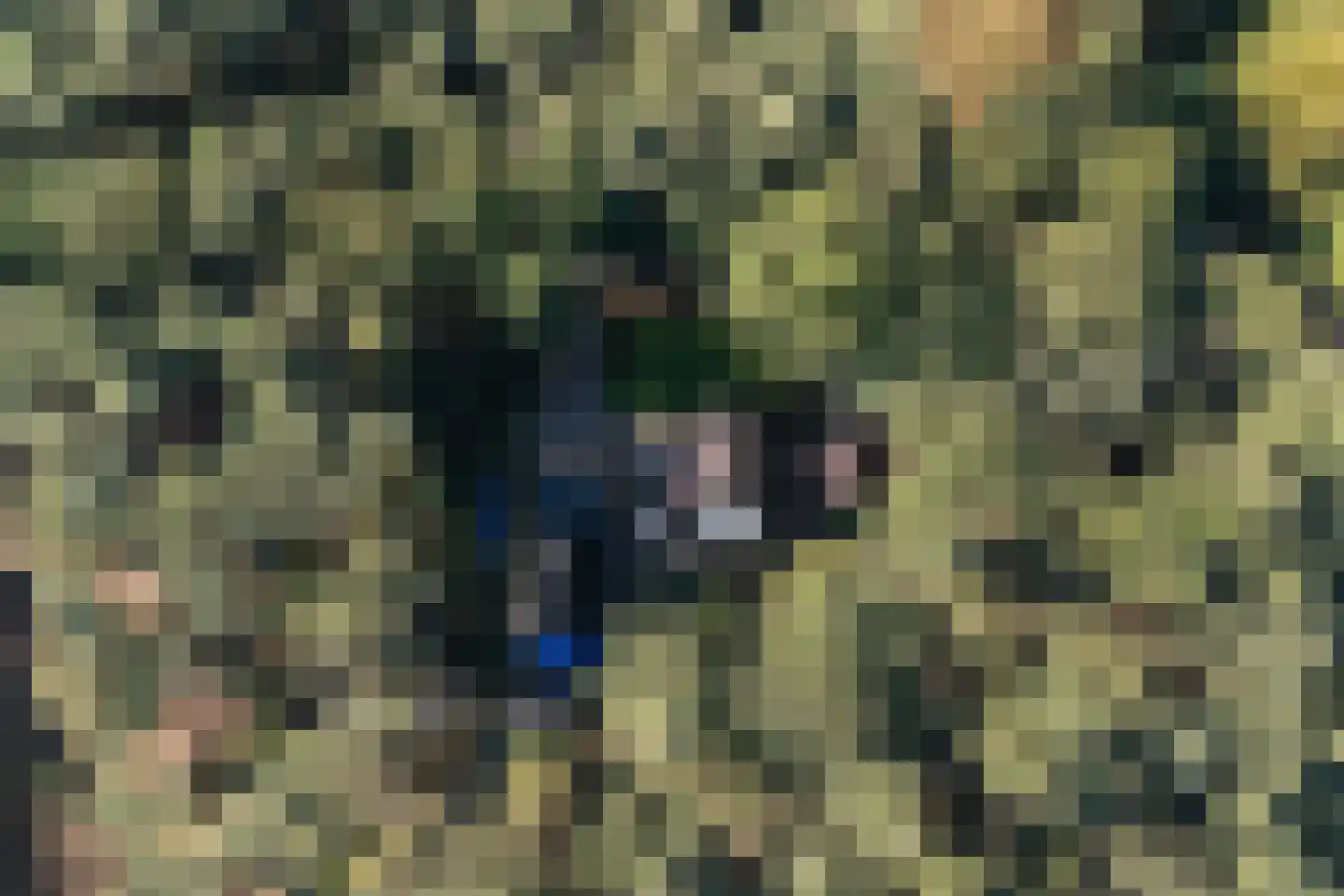 Lantie 4 Vessem thumbnail 63