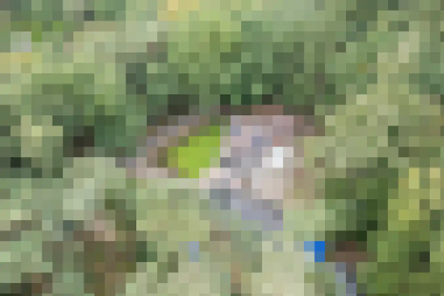 Lantie 4 Vessem thumbnail 64