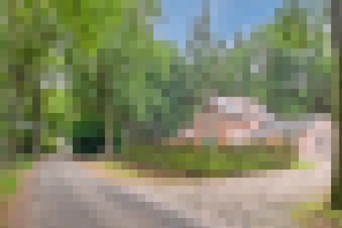 Lantie 4 Vessem thumbnail 68