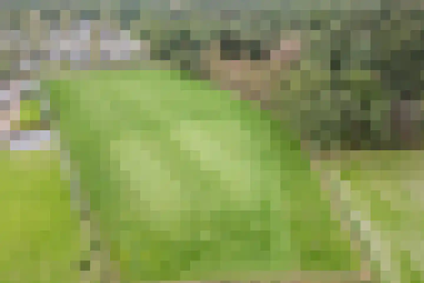 Lantie 4 Vessem thumbnail 7