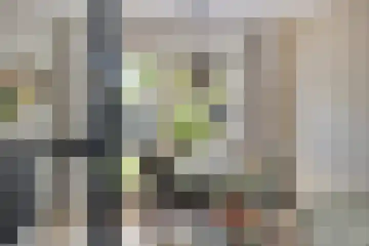 Lantingawerf 16 IJlst thumbnail 15