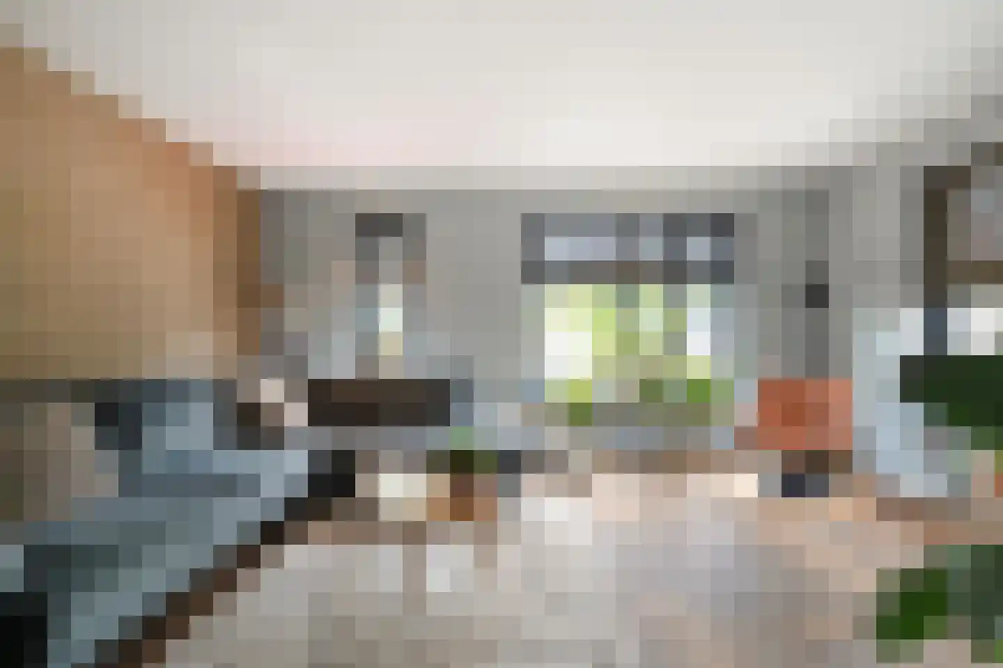 Lantmanstraat 18 Waarland thumbnail 15