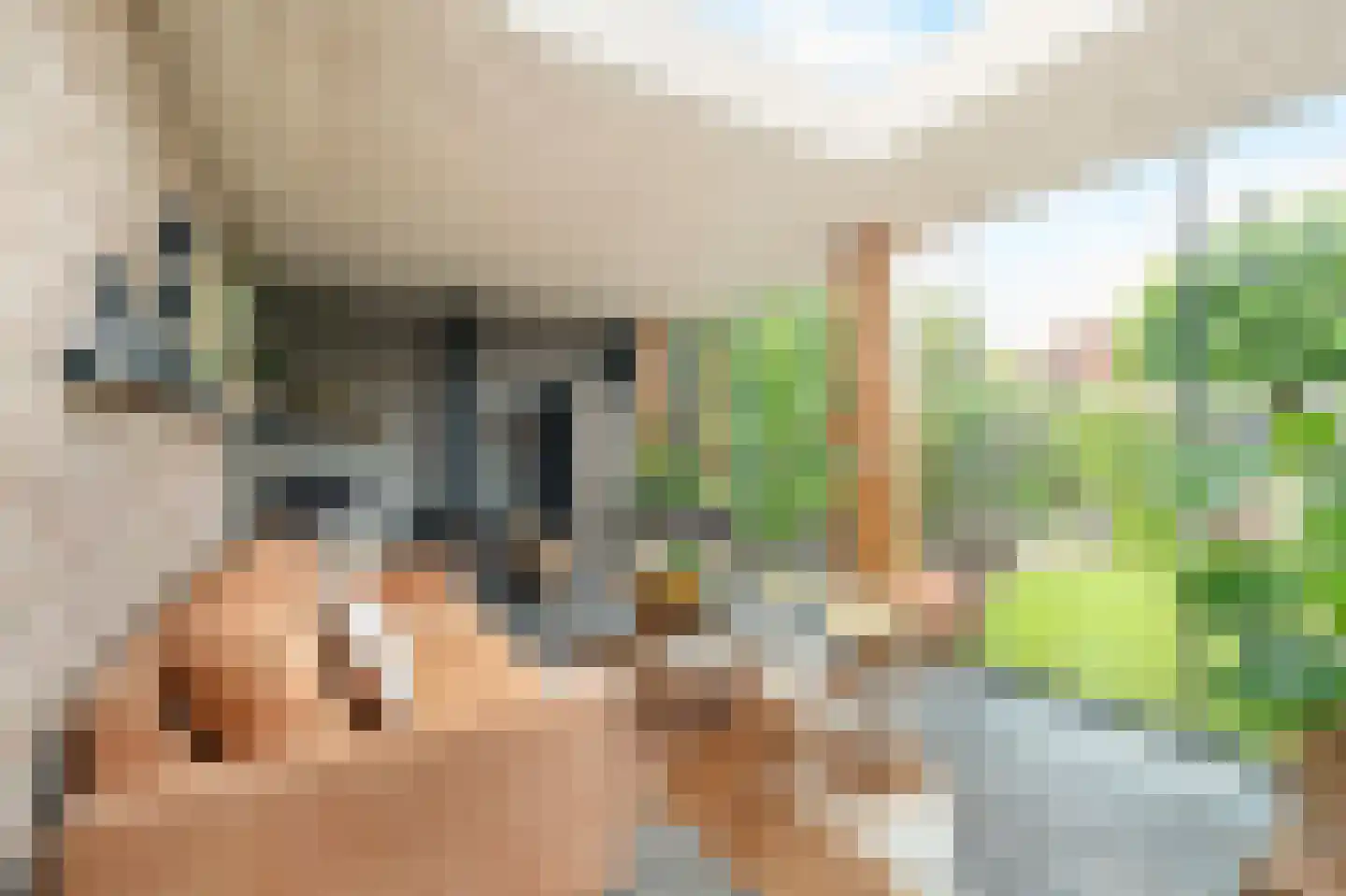 Lantmanstraat 18 Waarland thumbnail 30