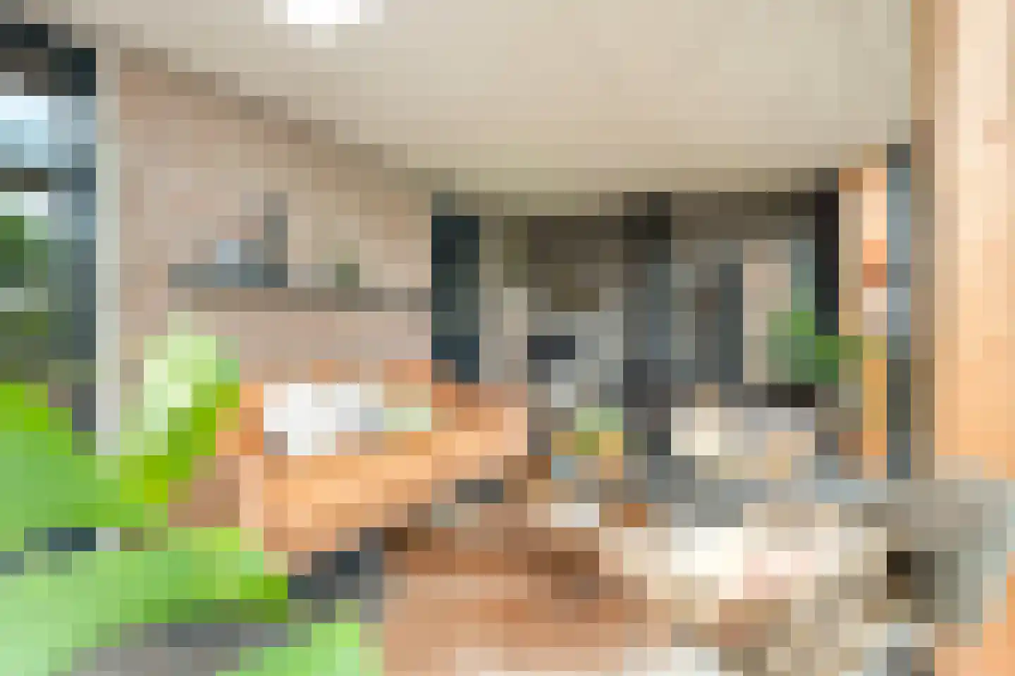 Lantmanstraat 18 Waarland thumbnail 31
